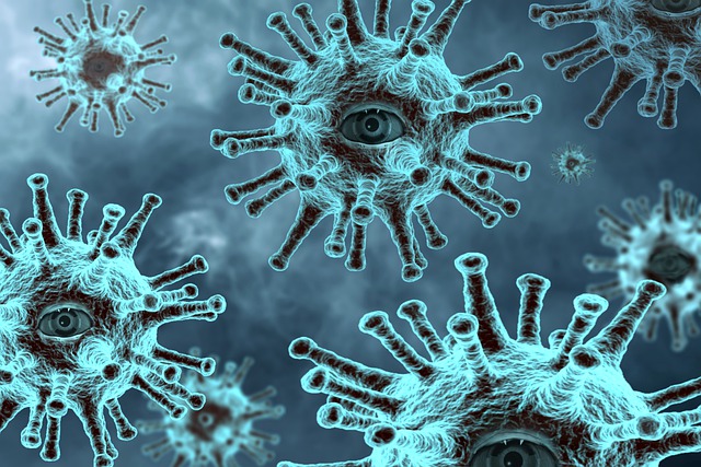 epidemie koronaviru